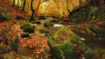 リアルな写真から Painting - 秋の小川 落ち葉 風景画 写真からアートへ